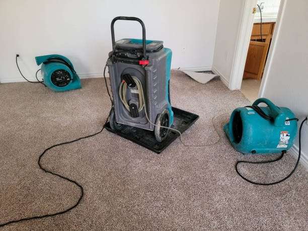 Best Mold removal after water damage  in Port Aransas, TX