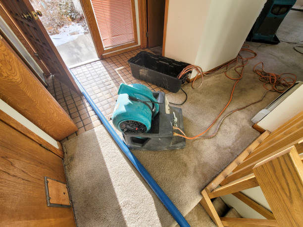 Best Flooded house restoration  in Port Aransas, TX