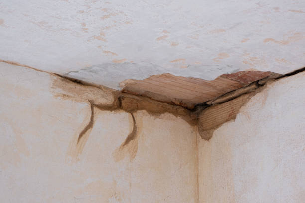 Best Water damage cleanup near me  in Port Aransas, TX
