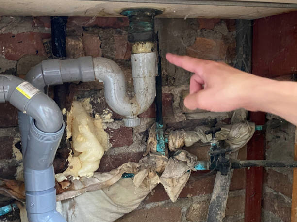 Best Flood damage cleanup  in Port Aransas, TX