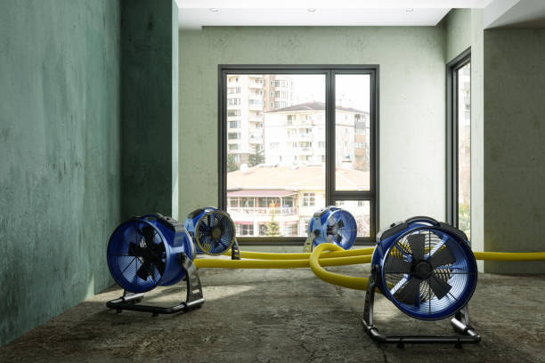 Best Sewage cleanup and water damage restoration  in Port Aransas, TX